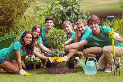 Volunteer at a Park