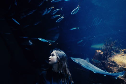 Visit your local aquarium