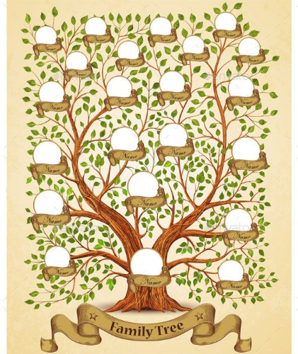 Explore Family Trees