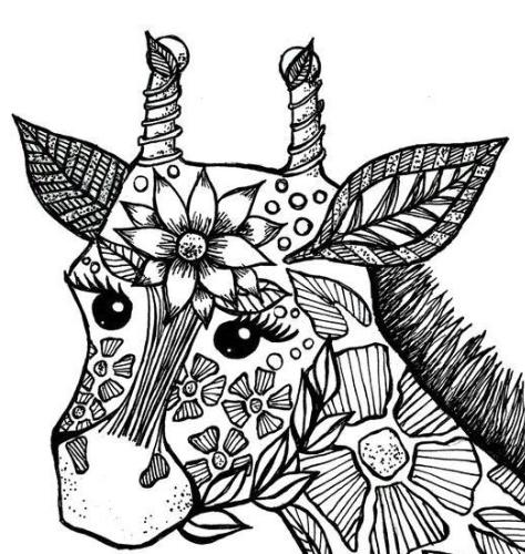 Coloring Book