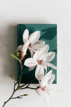 Start a Diary